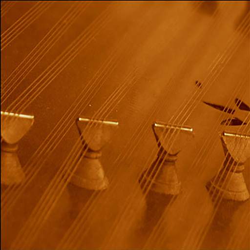 Santoor Musical Instrument 3.0