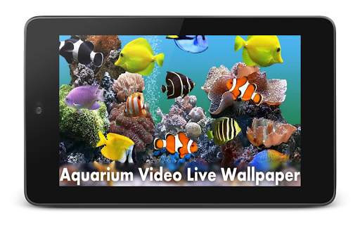 Aquarium Video Live Wallpaper screenshot 7