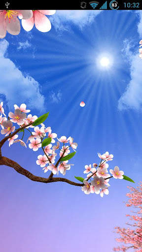 Live Wallpaper - 3D Sakura Seasons screenshot 2
