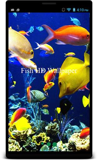 Fish HD Wallpaper screenshot 1