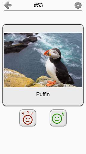 Bird World - Famous Birds Quiz screenshot 4