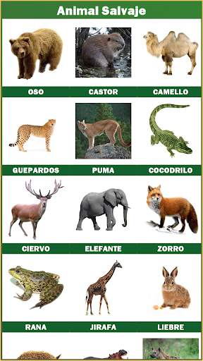 Animales y pájaros screenshot 6