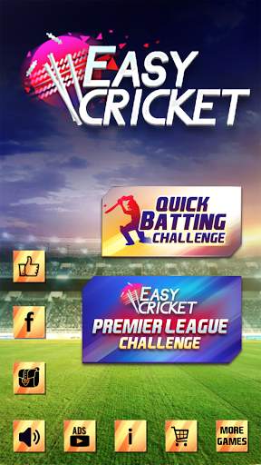Easy Cricket: Challenge screenshot 2