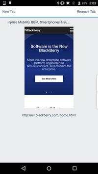 BlackBerry Access screenshot 4