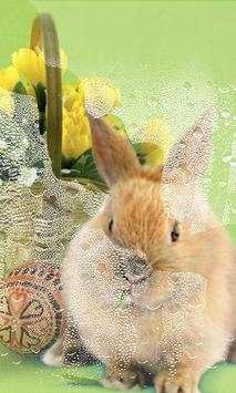 Easter Bunny live wallpaper screenshot 3
