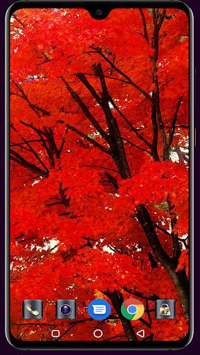 Autumn Wallpaper 4K Latest screenshot 6