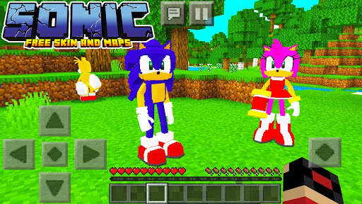 Skins Sonic Craft For Minecraft PE 2021 screenshot 2