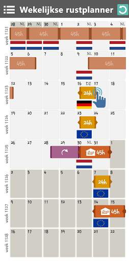 Mini Manager Tachograaf en bestuurder assistent screenshot 1