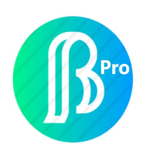 BC Browser 1.0