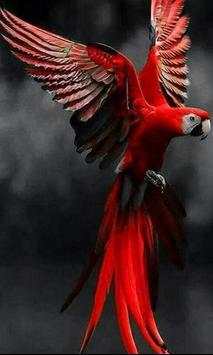Bird HD Wallpaper screenshot 6