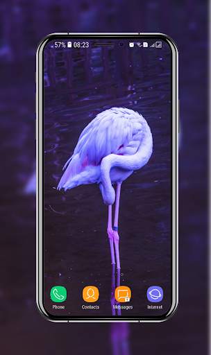Birds Wallpaper screenshot 10