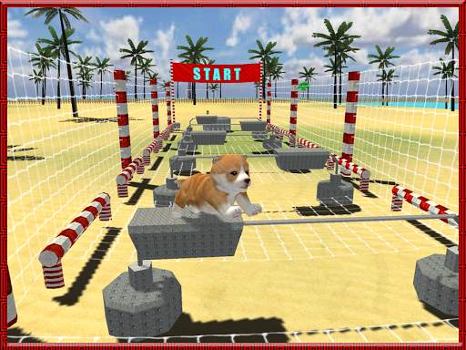 Cat Dog Pets Beach Stunts Sim screenshot 9