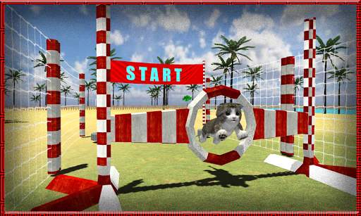 Cat Dog Pets Beach Stunts Sim screenshot 1