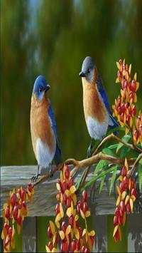Birds Species Puzzle स्क्रीनशॉट 1