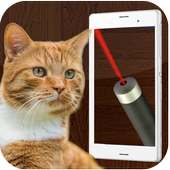 Laser Pointer - Cat Game
