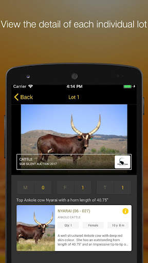 Stud Game Breeders screenshot 4