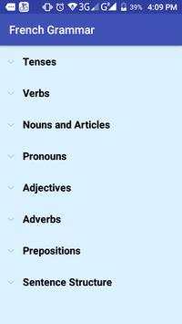 Basic French grammar (Offline) screenshot 1