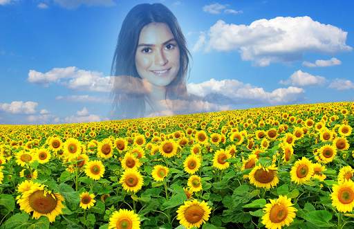 Sea of Flowers Photo Frames screenshot 2