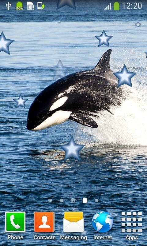 Whale Live Wallpapers  - Free Live Wallpapers screenshot 3