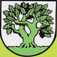 Blätzlesfest 2015 icon