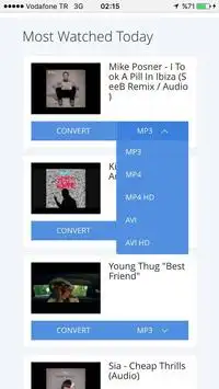 2- Convert Video screenshot 3