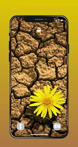 ✿ HD Flowers Wallpaper - 4K Beautiful Flowers screenshot 2