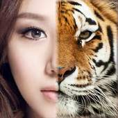 Tiger Camera 1.2