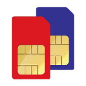 SIM Details icon