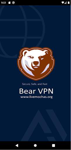 Bear VPN screenshot 2