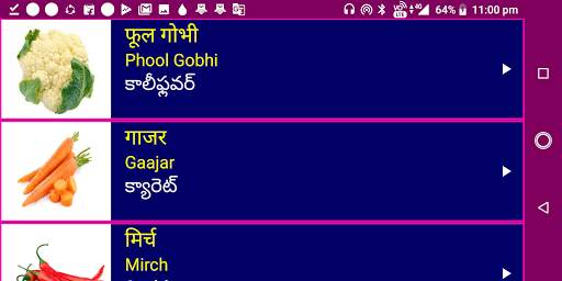 Learn Hindi from Telugu screenshot 11