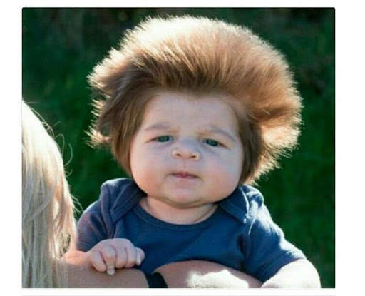 Funny Videos screenshot 5