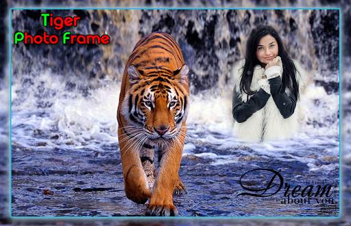 Tiger Photo Frames screenshot 3