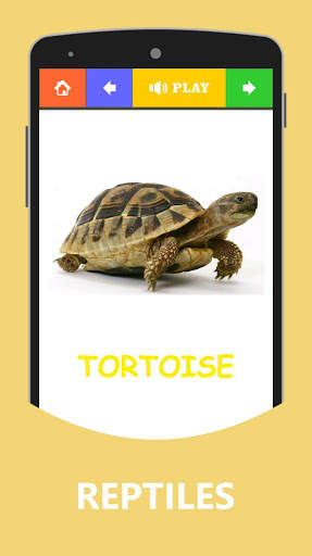 Animals and Birds Name with Sound for Kids 3 تصوير الشاشة