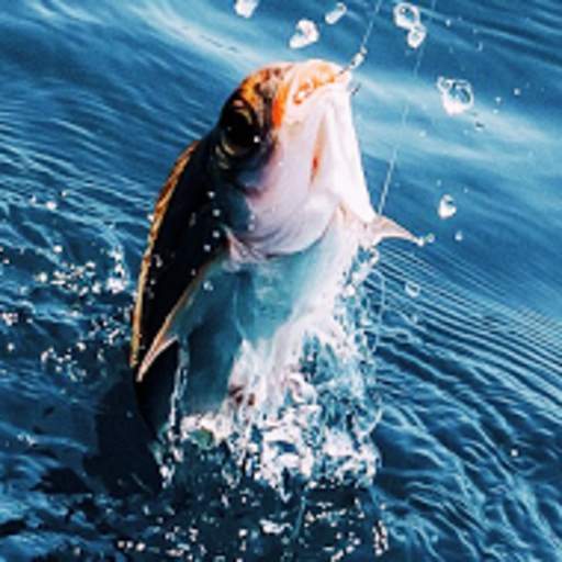 Real Fishing Pro 3D 1.3.9