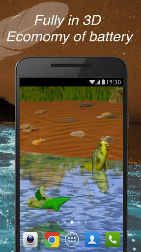 PRO Parrots 3D Live Wallpaper Love Birds screenshot 4