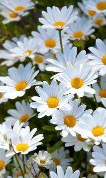 Live Flowers Wallpapers screenshot 1