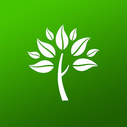 New Roots 1.1