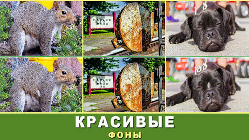 Найди отличия скриншот 5