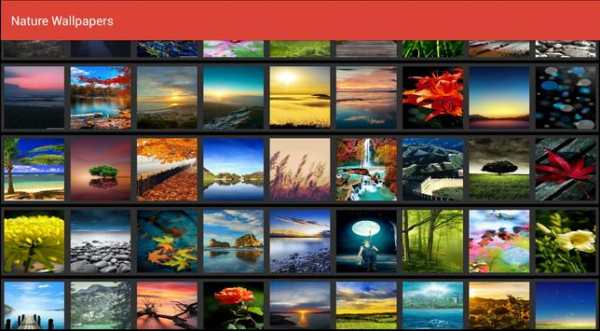 Nature Wallpapers HD screenshot 8