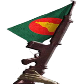 Liberation War icon