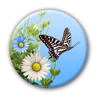 Butterfly on 9Apps