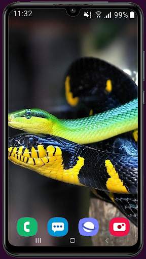 Snake Wallpaper Best HD screenshot 16