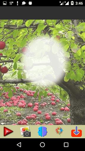Tree Photo Frames screenshot 3