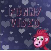 Funny Video