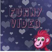 Funny Video 1.0