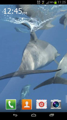 Marine Dolphin Live Wallpaper screenshot 1