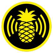 WiFi Pineapple Connector 1.1
