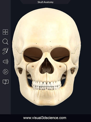 My Skull Anatomy screenshot 11