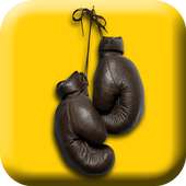Fight Like A Pro