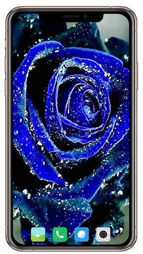 Blue Wallpaper screenshot 1